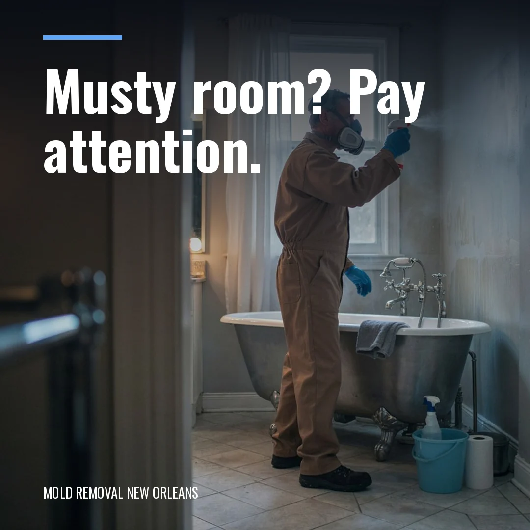 Musty room? Pay attention.