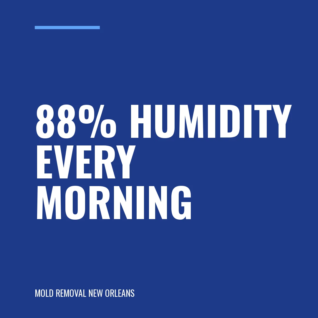 88% humidity every morning.