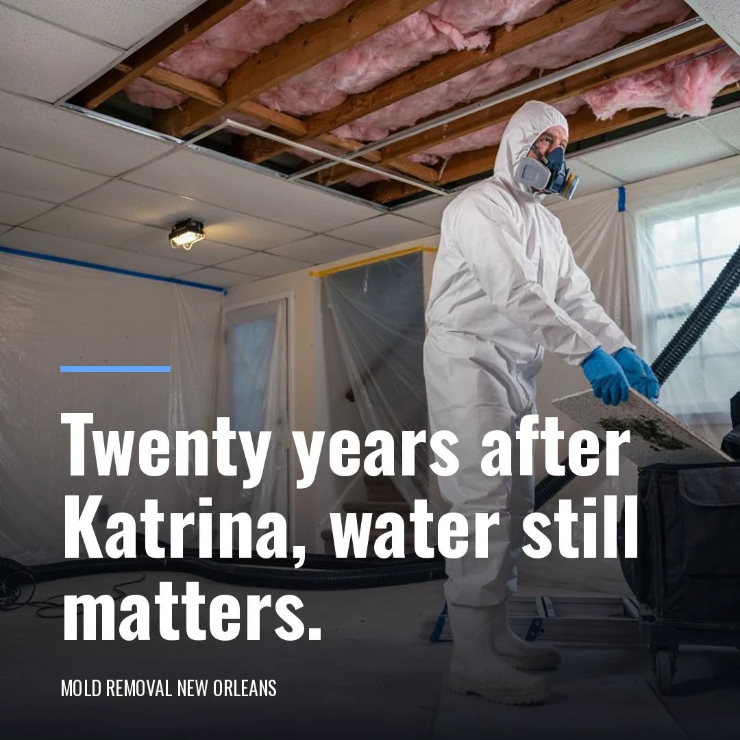 Twenty years after Katrina, water still matters.