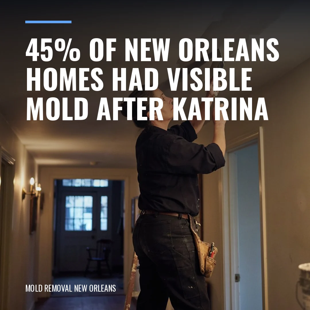 45% of New Orleans homes had visible mold after Katrina.