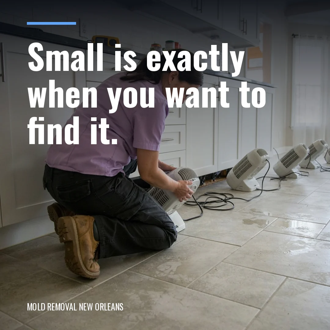 Small is exactly when you want to find it.